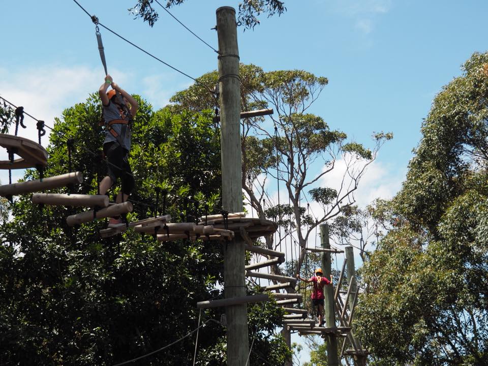 Wild Ropes at Taronga Zoo : High Ropes Course in Sydney