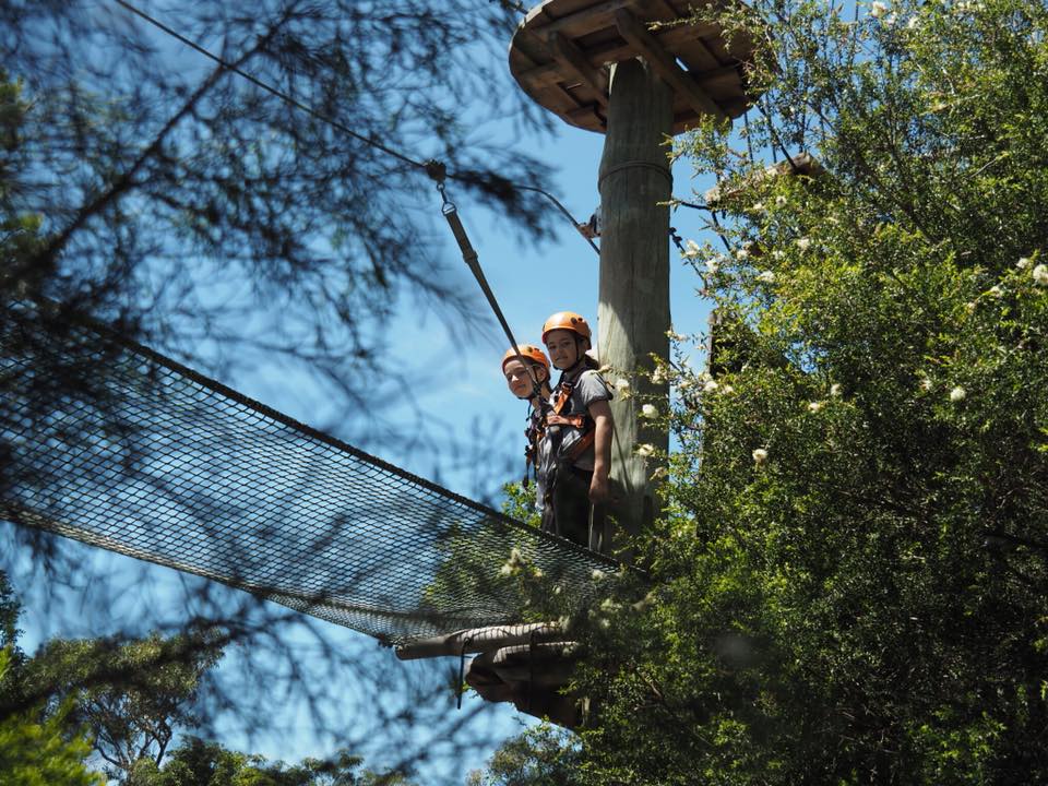 Wild Ropes at Taronga Zoo : High Ropes Course in Sydney