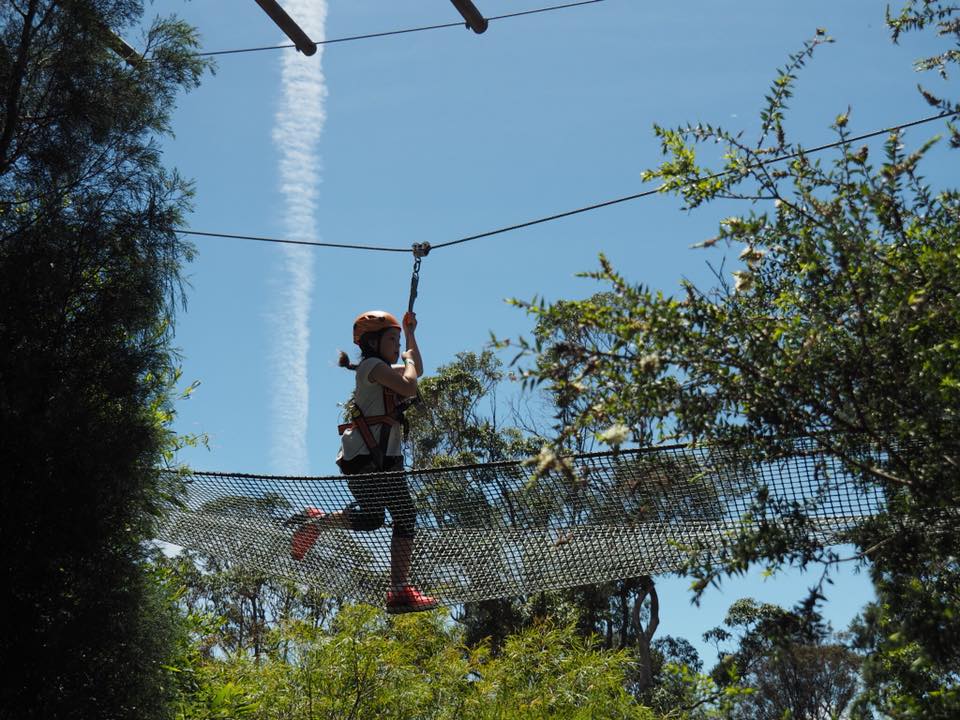 Wild Ropes at Taronga Zoo : High Ropes Course in Sydney