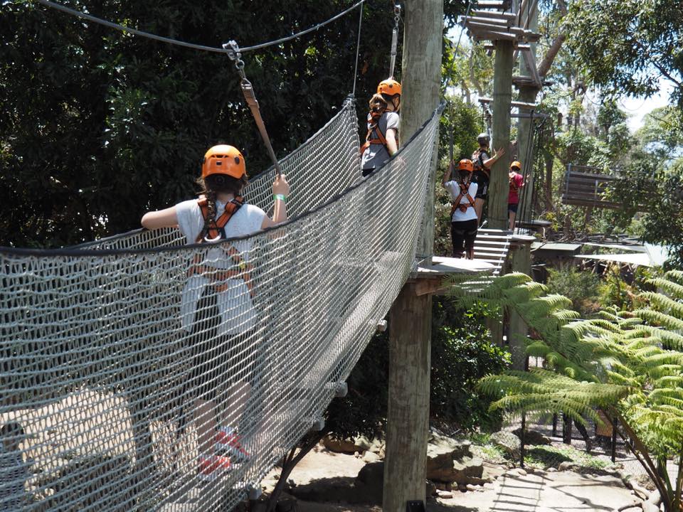 Wild Ropes at Taronga Zoo : High Ropes Course in Sydney