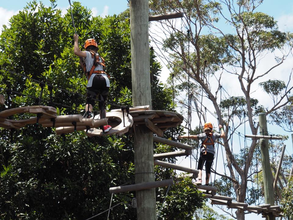 Wild Ropes at Taronga Zoo : High Ropes Course in Sydney