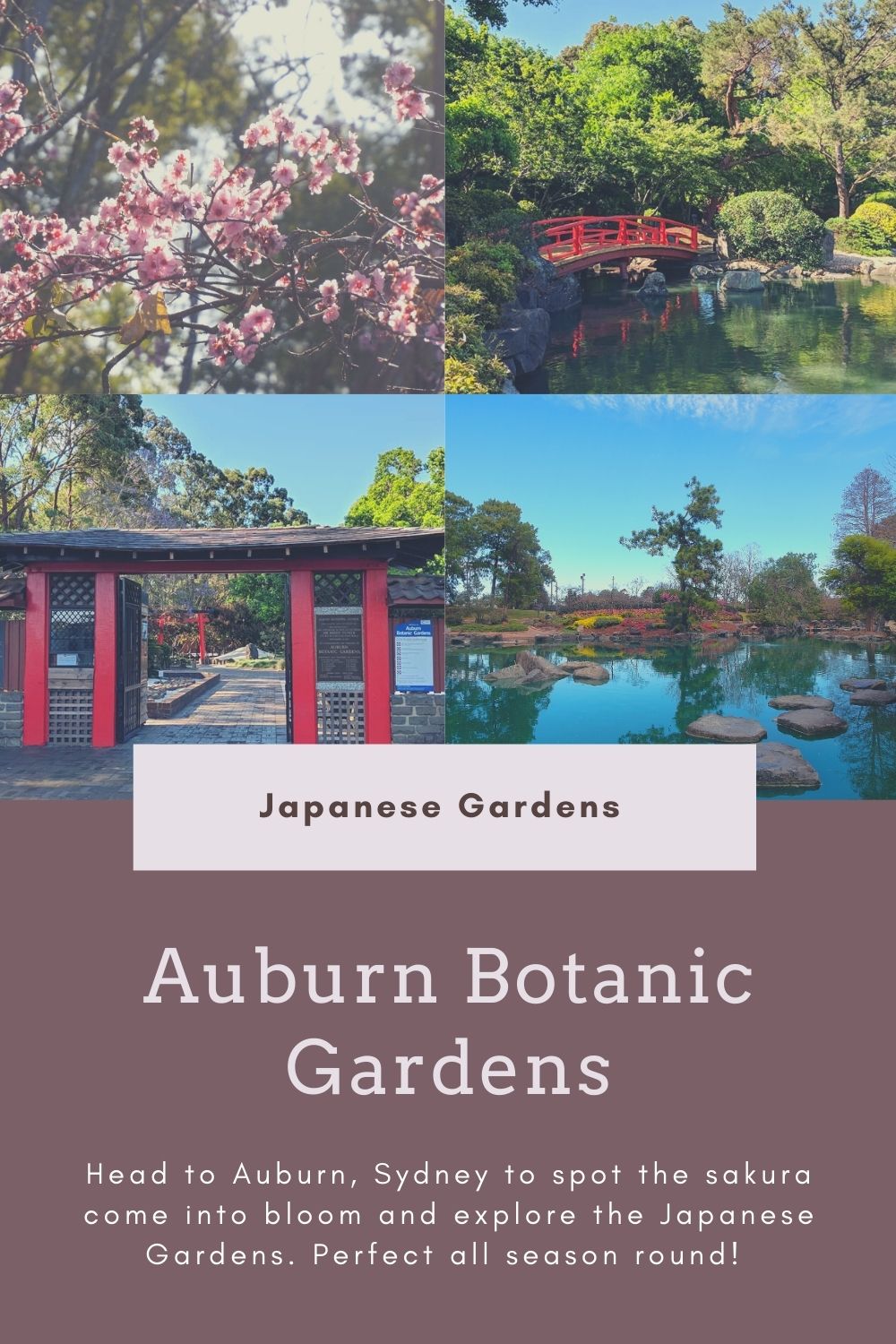 Auburn Botanic Gardens with Kids : Japanese Gardens in Sydney