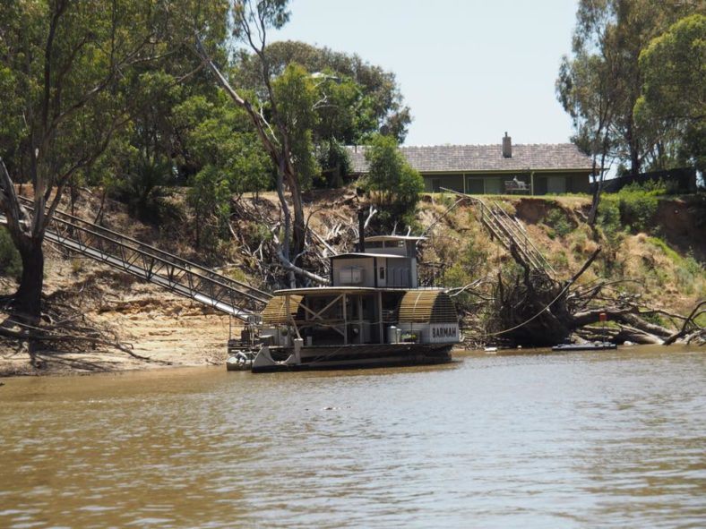 Echuca Paddle Steamer Adventures Murray River Cruises The Kid