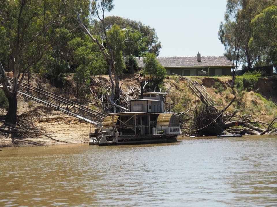 Echuca Paddle Steamer Adventures : Murray River Cruises