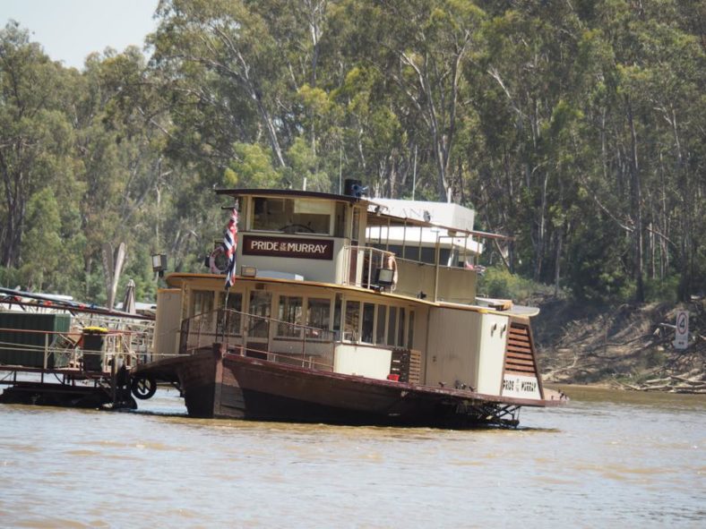 Echuca Paddle Steamer Adventures Murray River Cruises The Kid