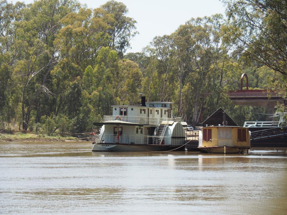 Echuca Paddle Steamer Adventures : Murray River Cruises