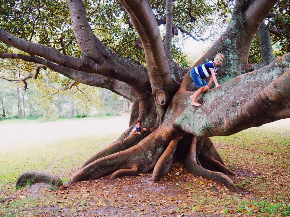 Ian Potter Children's Garden Centennial Park Sydney 