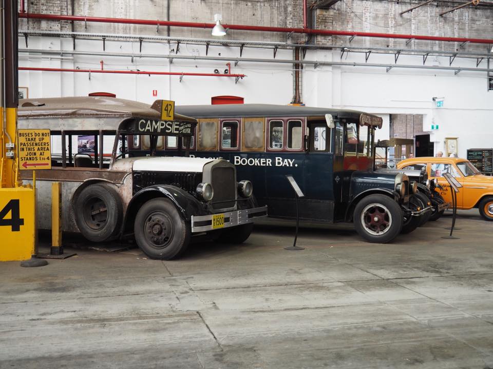 Sydney Bus Museum with Kids : Sydney Buses