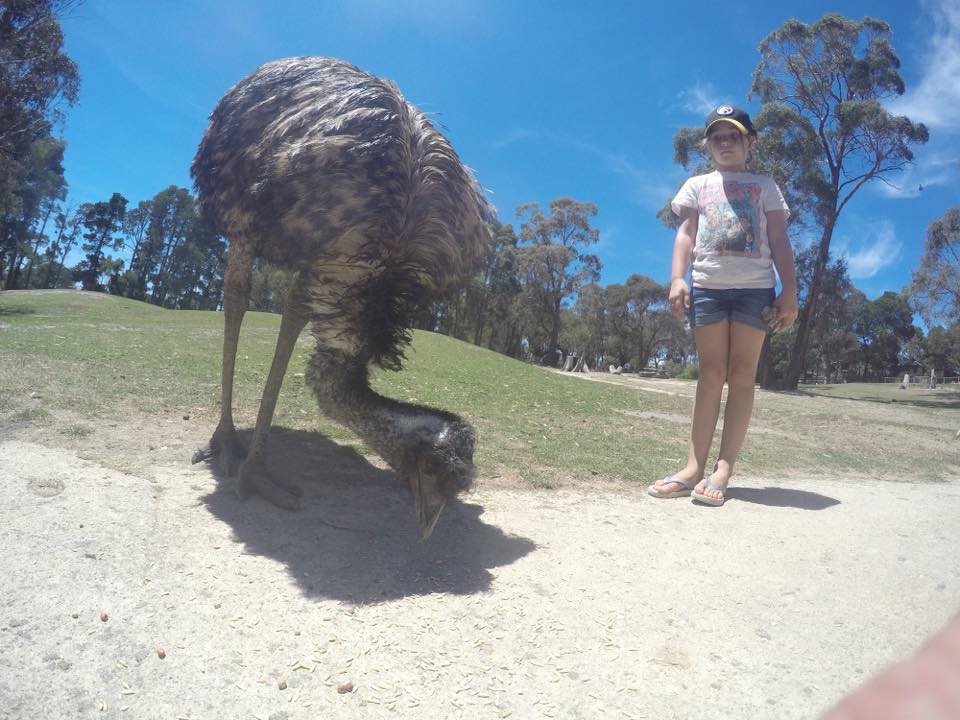 Australian Zoos and Wildlife Parks with Kids