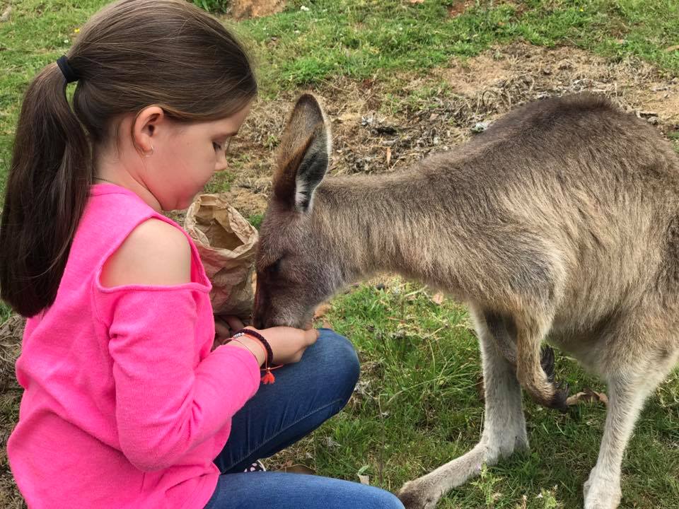 Australian Zoos and Wildlife Parks with Kids - The Kid Bucket List