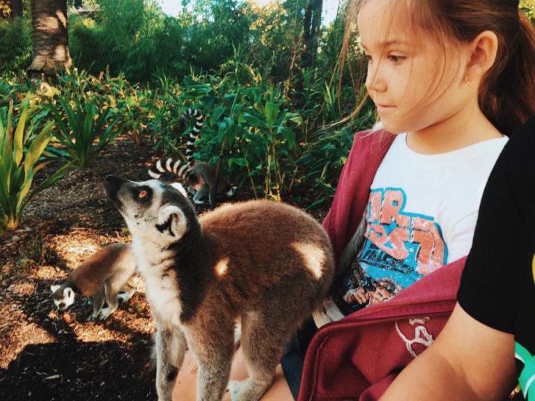 Australian Zoos and Wildlife Parks with Kids - The Kid Bucket List