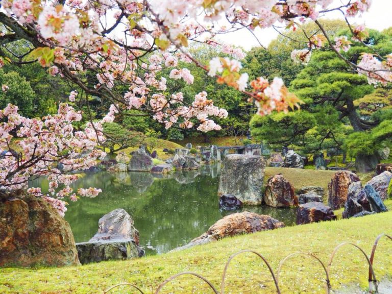 Cherry Blossom Season in Japan with Kids - The Kid Bucket List