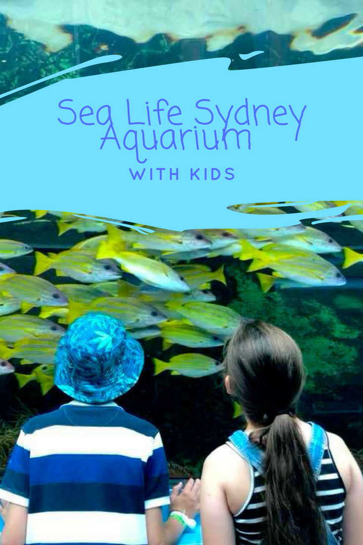 Sea Life Sydney Aquarium with Kids