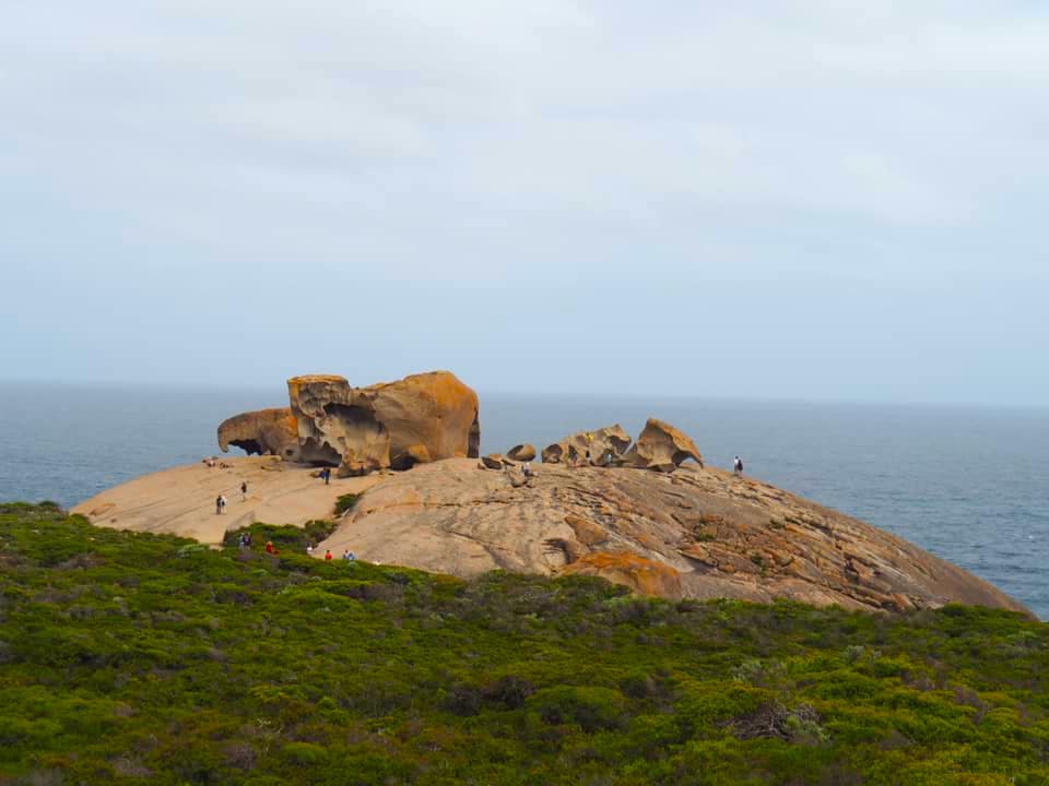 Best Things to do in Kangaroo Island with Kids