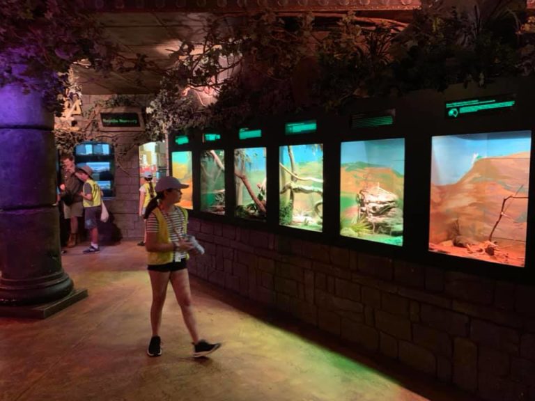 Australian Reptile Park with Kids Zookeeper Experience The Kid