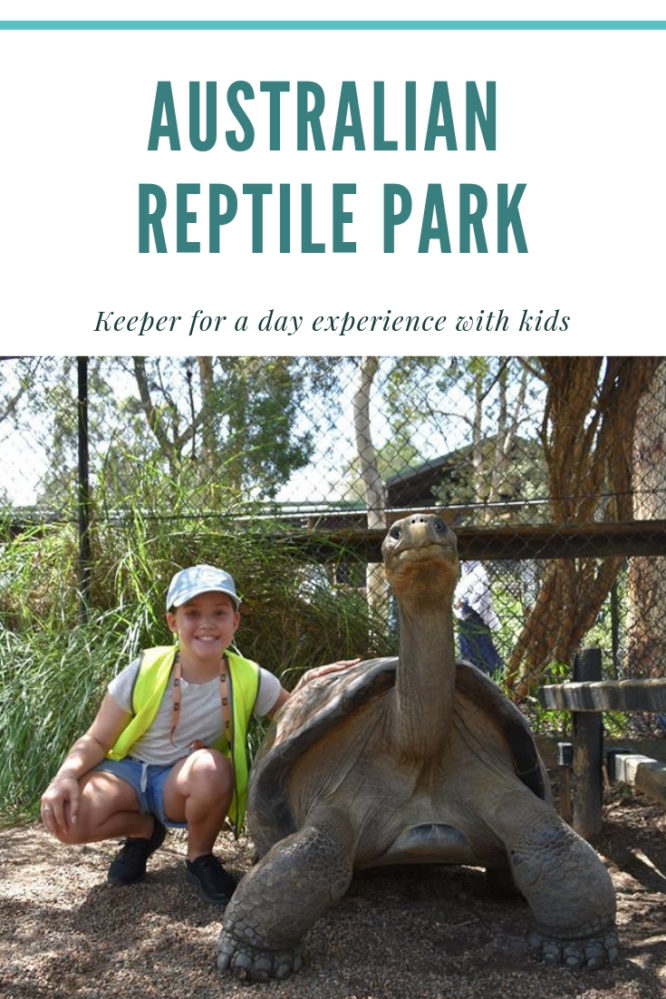 Australian Reptile Park With Kids : Zookeeper Experience - The Kid 