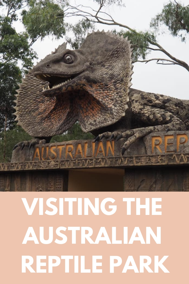Australian Reptile Park with Kids : Zookeeper Experience | Sydney day trips