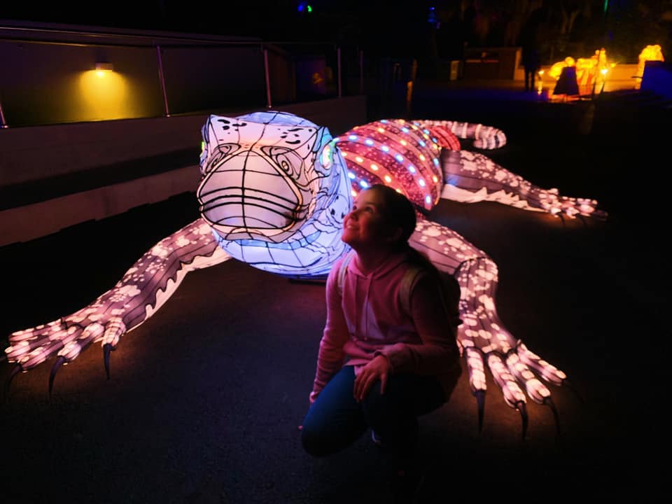 Vivid at Taronga Zoo : Lights For The Wild in Sydney | Lizard | Vivid at Taronga | Taronga Zoo Vivid
