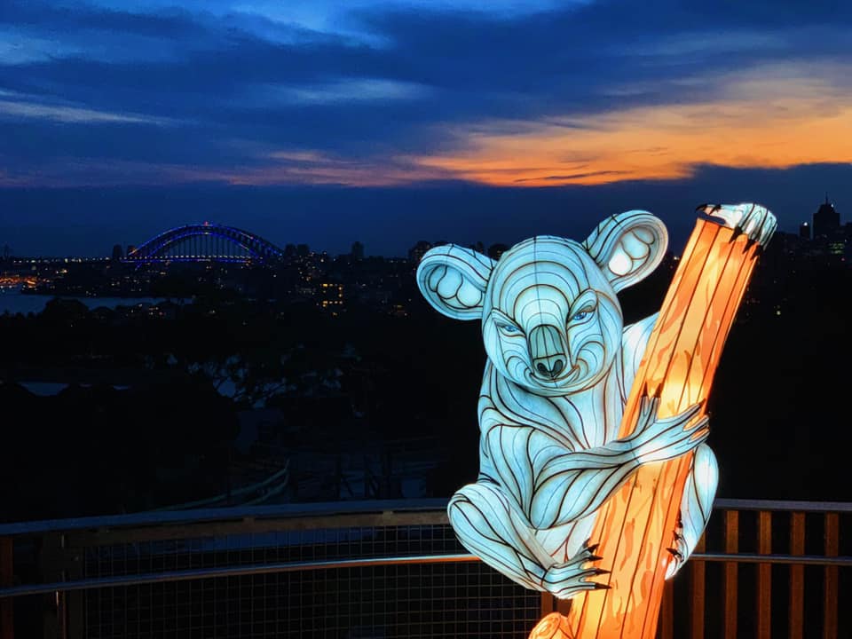 Vivid at Taronga Zoo : Lights For The Wild in Sydney
