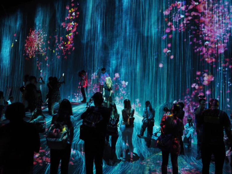 teamLab Borderless with Kids : Tokyo Bucket List - The Kid Bucket List