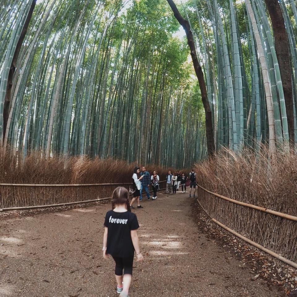 Best Things to do in Kyoto with Kids