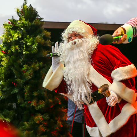 Christmas in Sydney : Events for Families