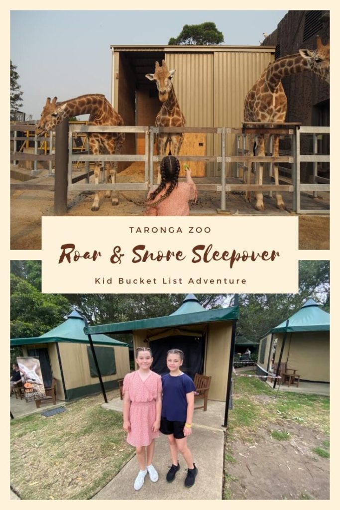 Taronga Zoo Roar and Snore Sleepover A Full Day of Fun The Kid Bucket List