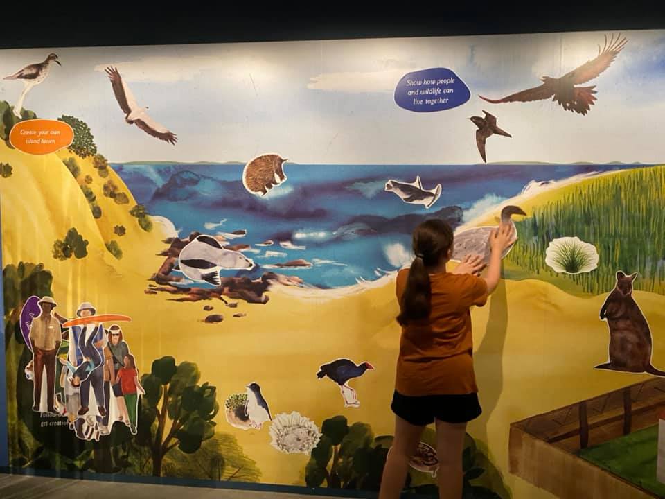 Guide to Phillip Island Penguin Parade with Kids