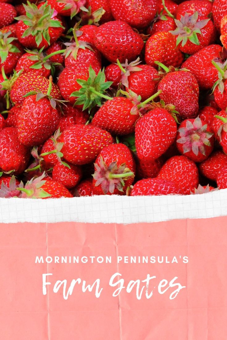 Mornington Peninsula Farm Gates : Cherry Farms and More!
