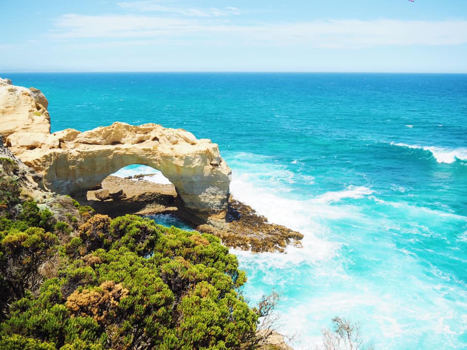 Great Ocean Road Tour with Kids