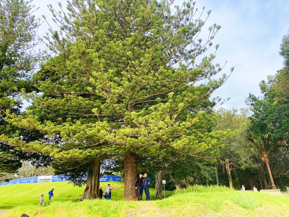 Kurnell Sydney | Visiting Kurnell | Botany Bay with Kids | Kurnell with kids