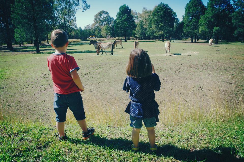 Things to do in Dubbo with kids
