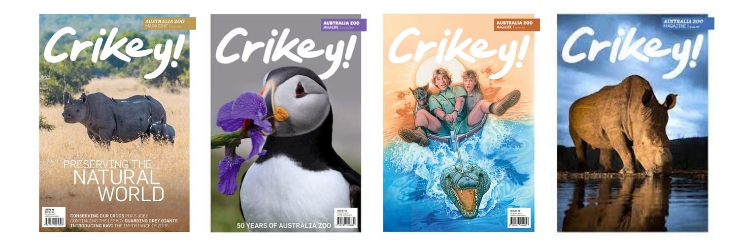 Crikey magazine for kids