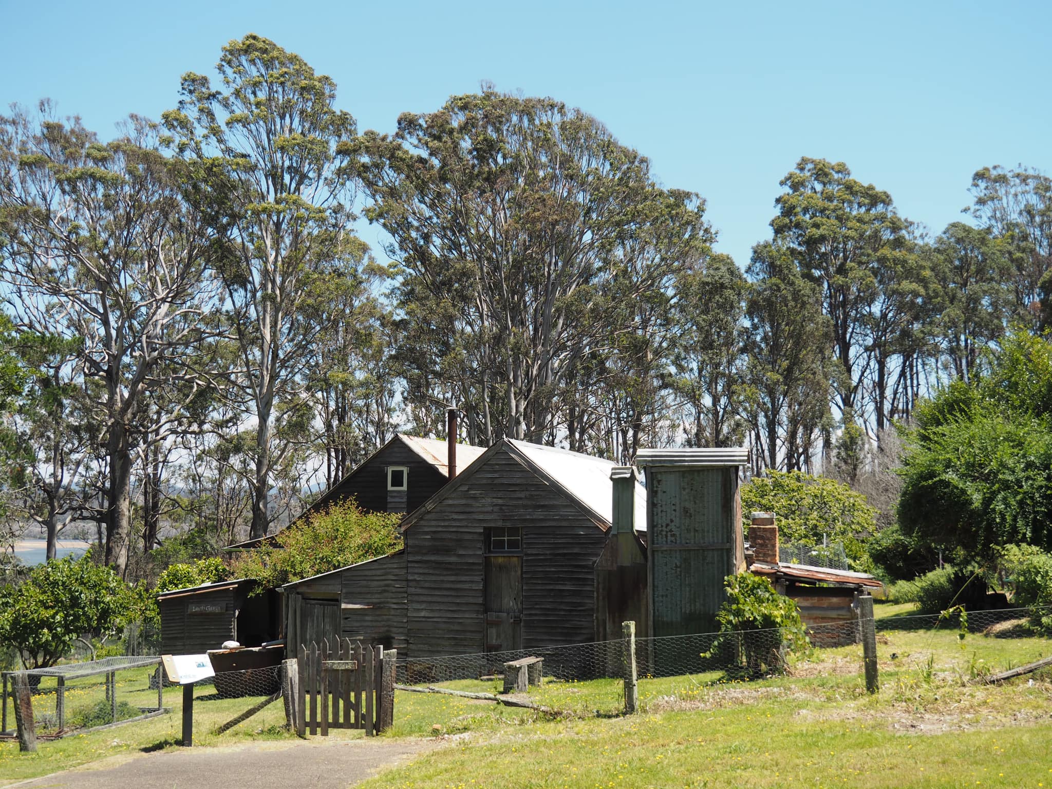 Things to do in Eden NSW with Kids