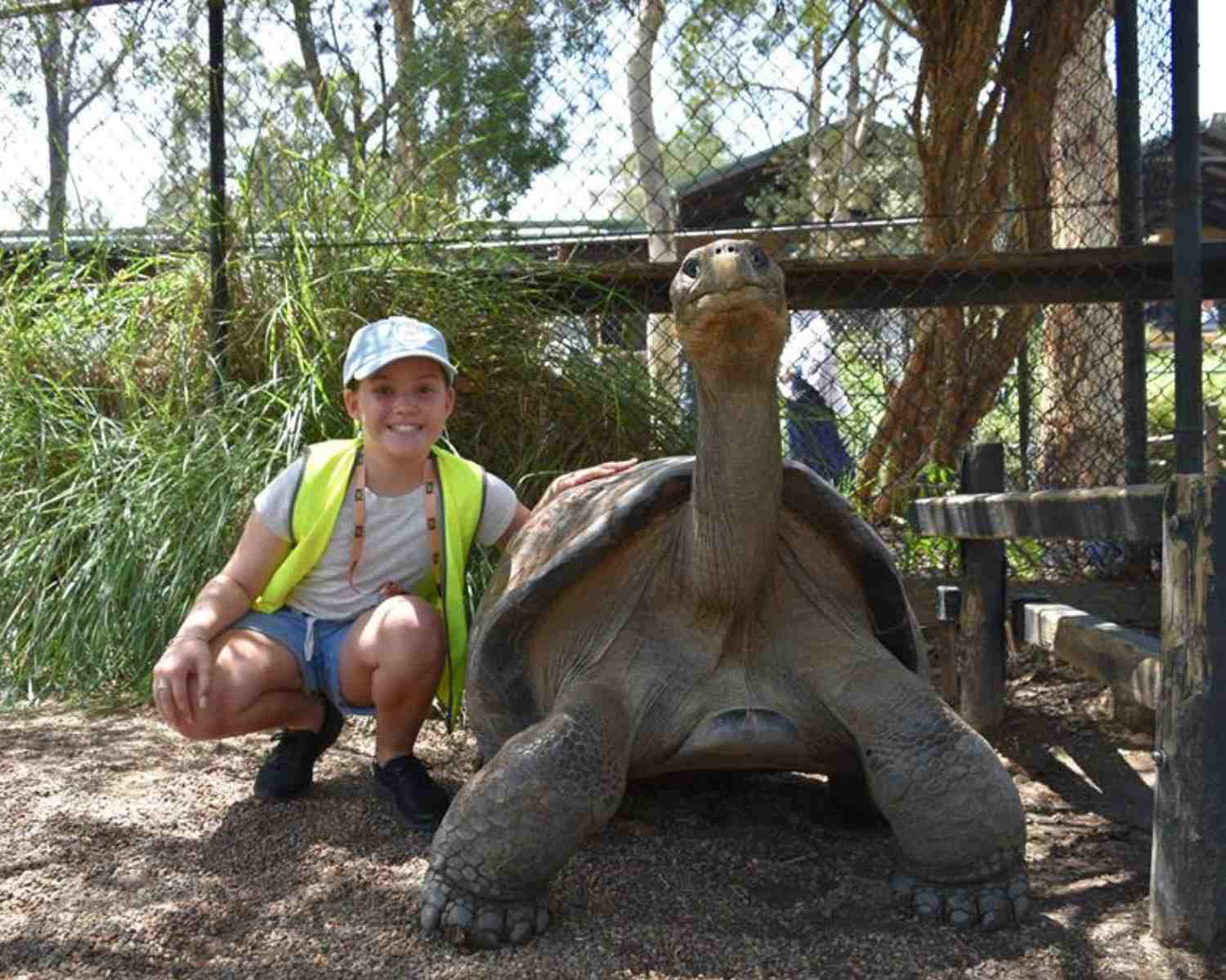 The best guide to Sydney School holiday activities at the zoo
