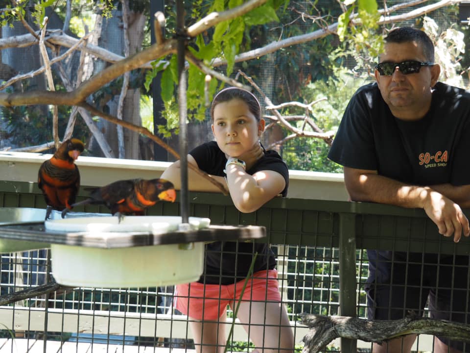 Zoos in Adelaide | Birds in Adelaide Zoos | Adelaide Zoo South Australia
