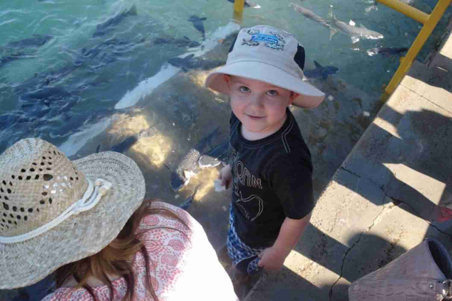 Things to do in Darwin with kids Feeding Fish