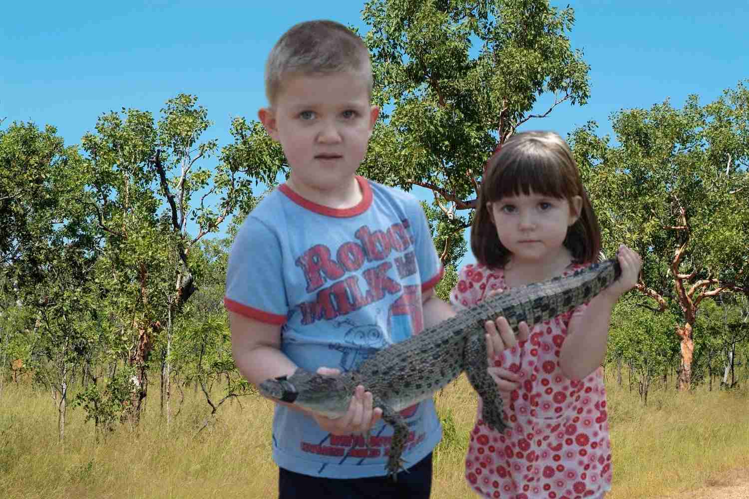 Crocodiles in Darwin | Things to do in Darwin with kids