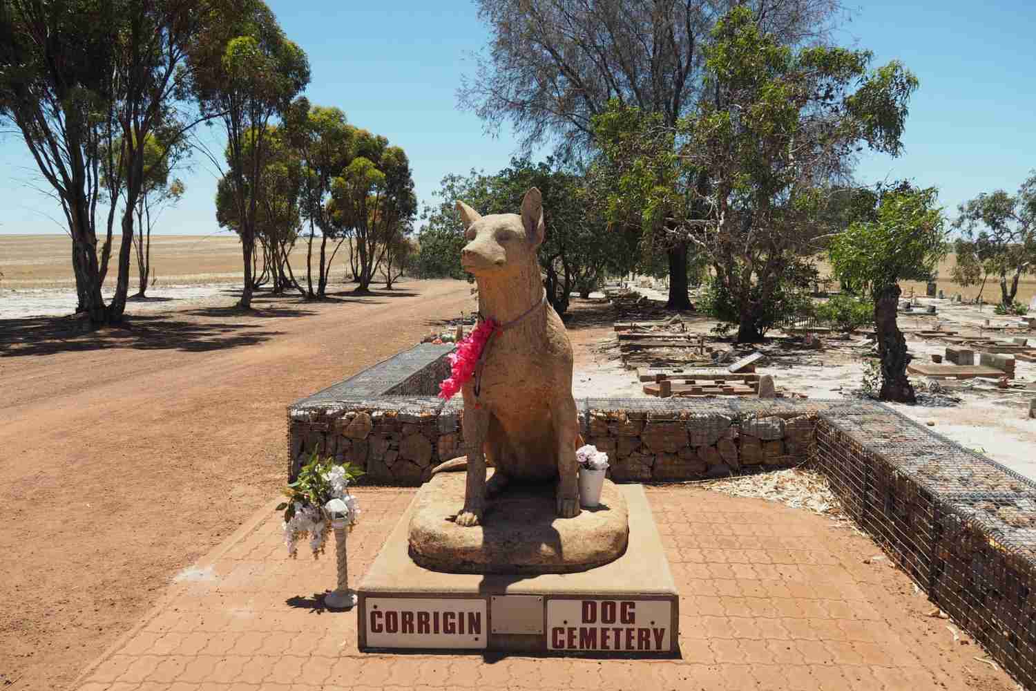 Corrigan Dog Cemetery in Western Australia
