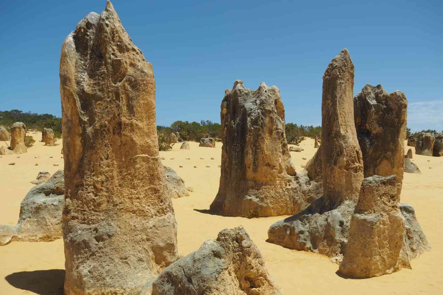 Exploring the Pinnacles WA. Many of the towers are over 3.5 metres in height