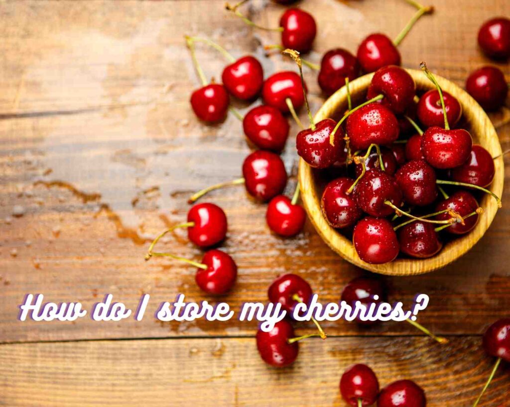 Cherry Picking in Young NSW with Kids The Kid Bucket List