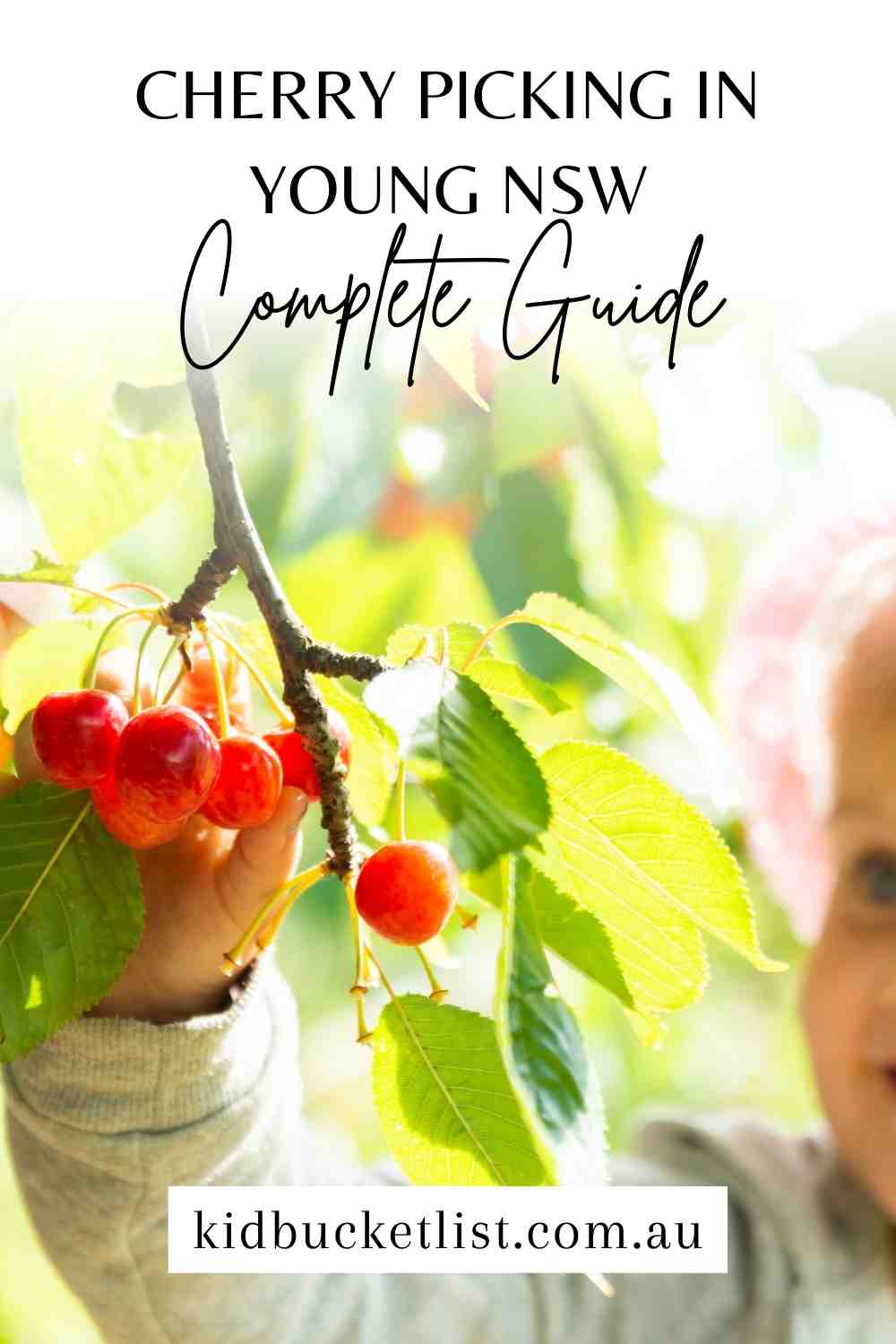 Cherry Picking in Young NSW with Kids
