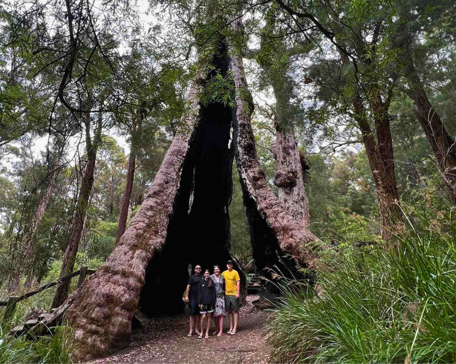 Our family inside the Giant Tingle Tree in WA