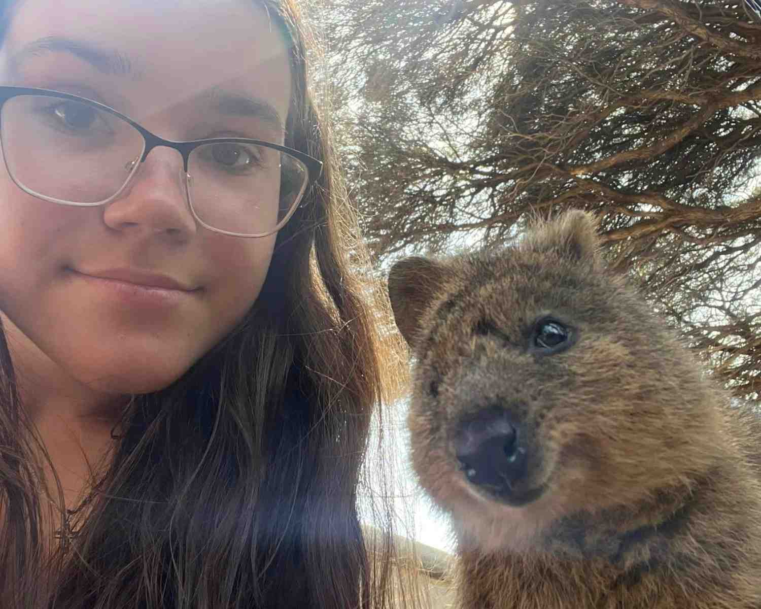 Where to find quokkas on Rottnest Island