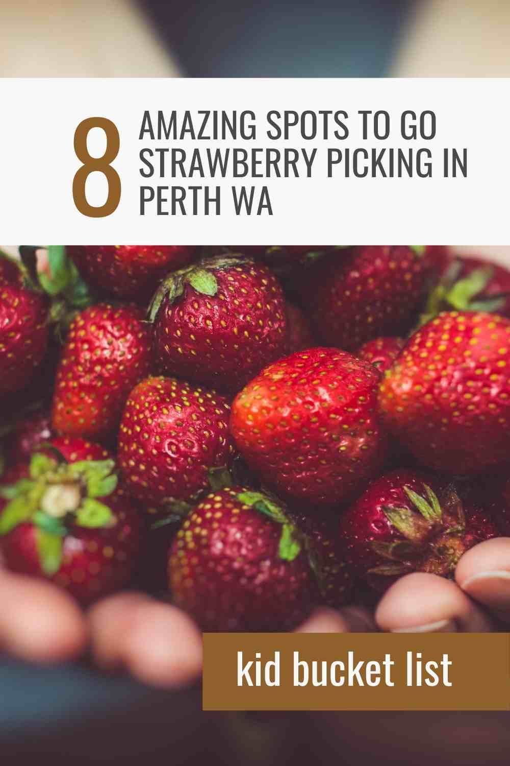 The best Perth WA Strawberry picking spots