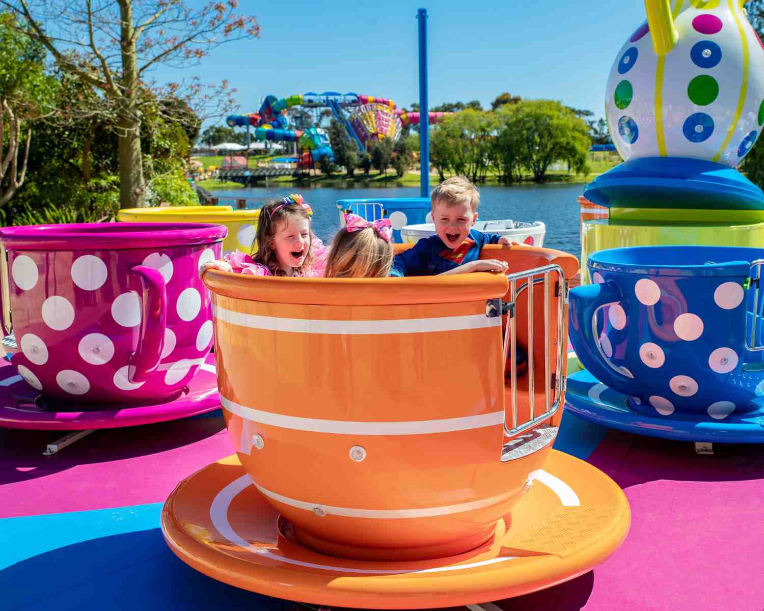 Teacups at Adventure Park Geelong Water Park with kids