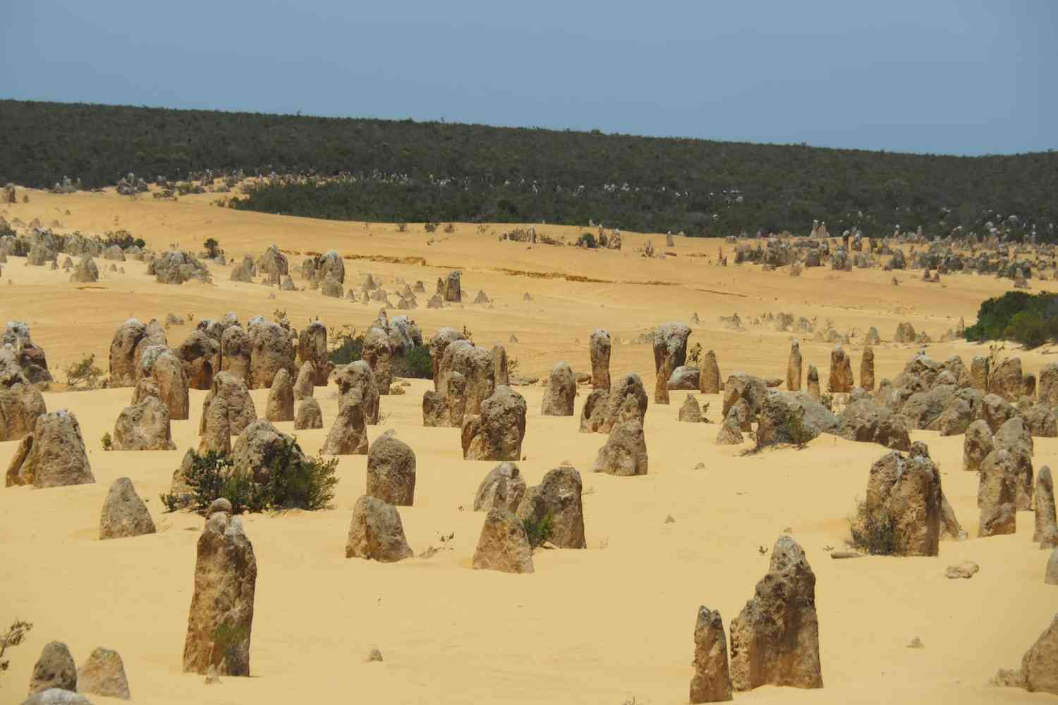 Image captures a wide landscape of the Pinnacles near Cervantes in Western Australia