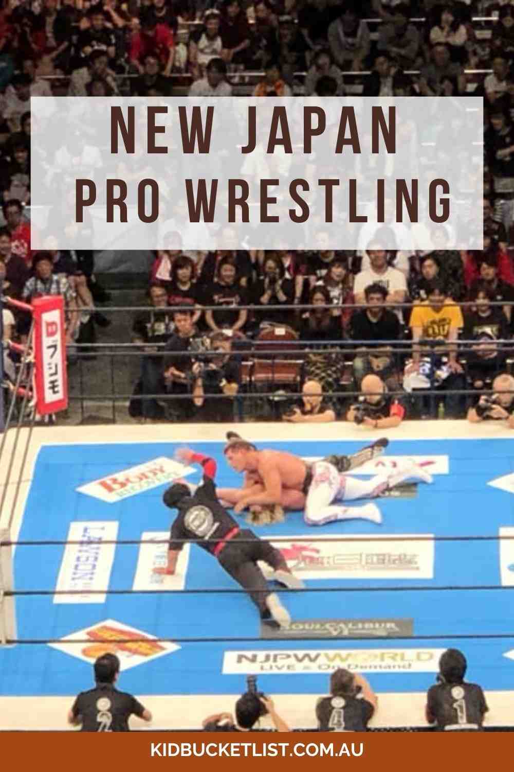 Wrestling Bucket List in Japan