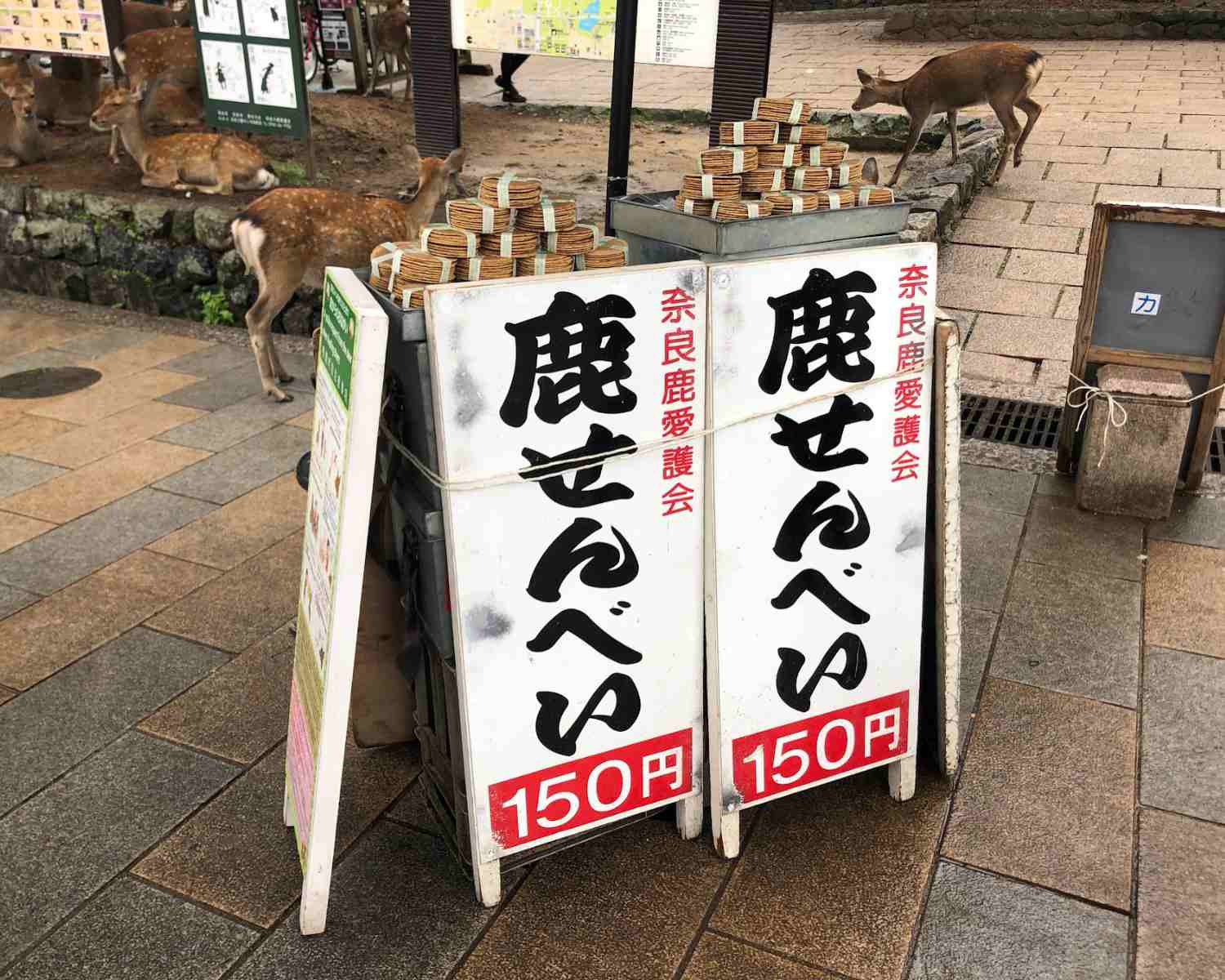 Deer biscuits in Nara Japan