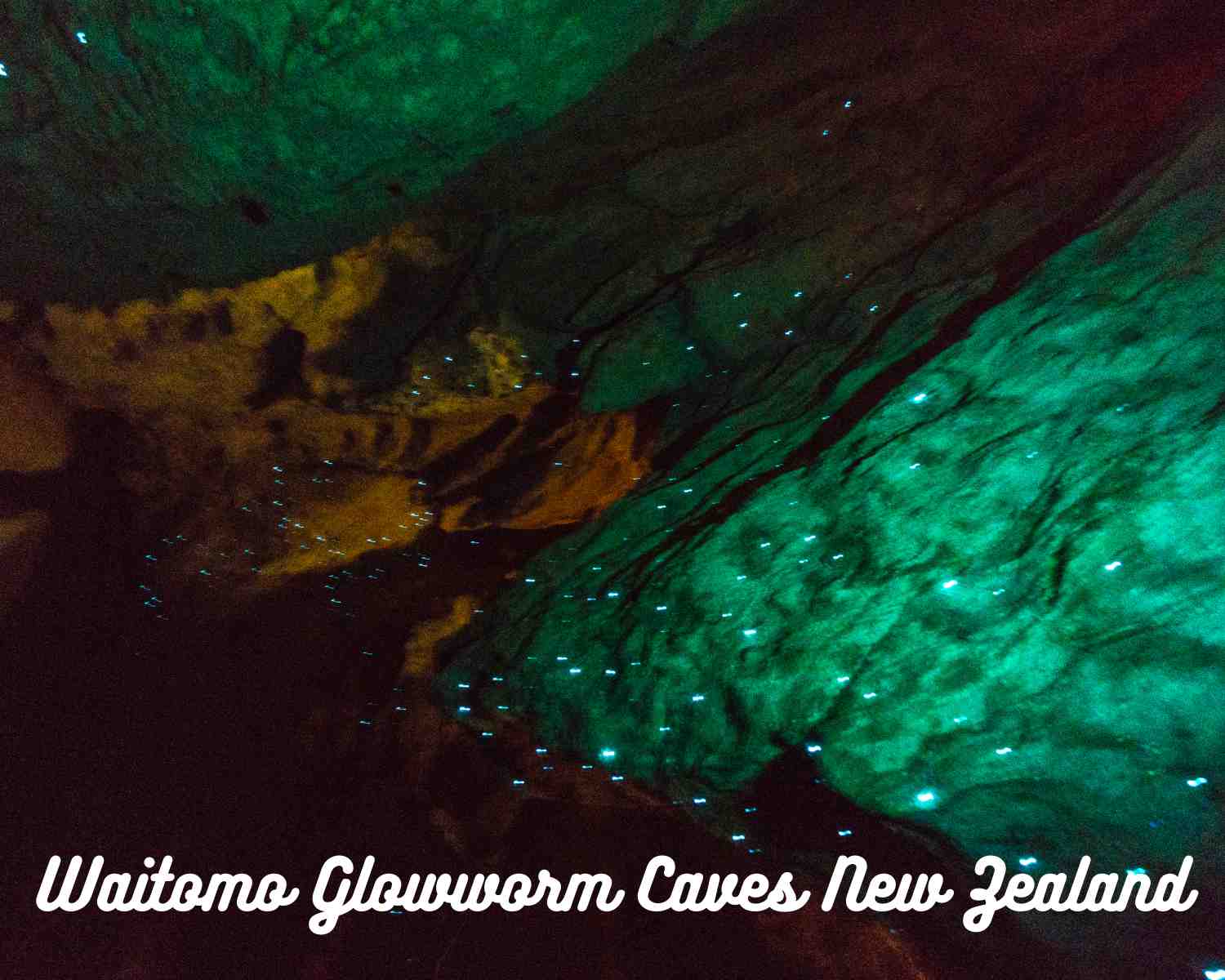 What are glowworms?